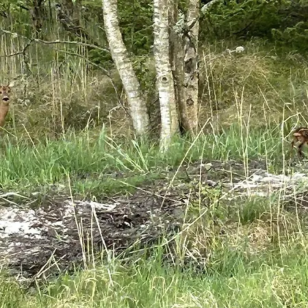 Thorbiorn - From The Sea By Interhome Prázdninový dům